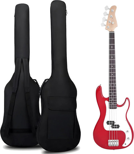 Bass guitar case gig bag - case,
