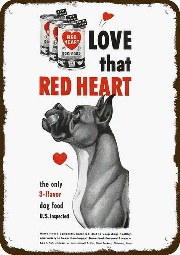 1951 boxer dog loves - boxer, red