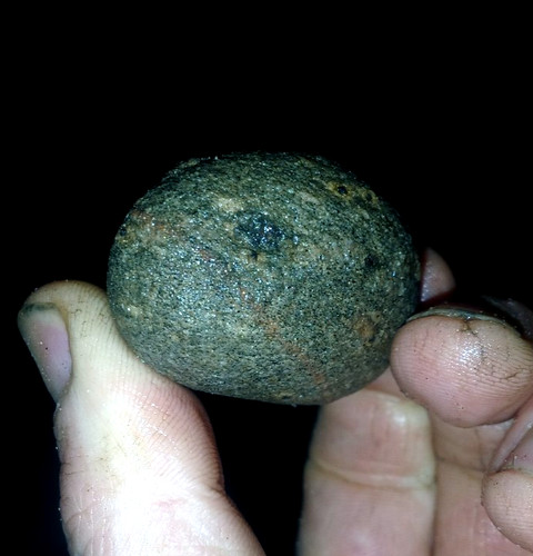 Fossil egg millions years - fossil,