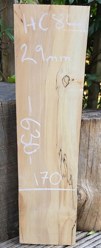 Spalted chestnut slab - chestnut,