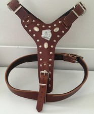 BRITISH BULLDOG HARNESS REAL