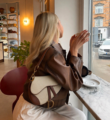 Dior saddle beige canvas - dior,