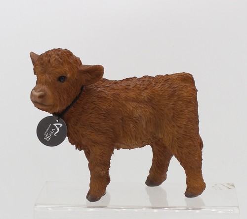 Vivid arts highland cow - highland,