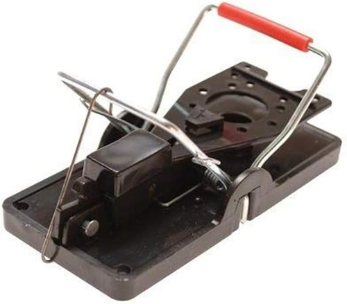 Advanced mouse trap - mouse,