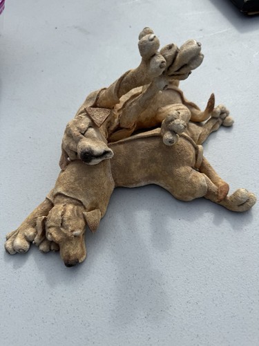 Breed apart labrador - a,