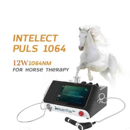 Equine eswt shockwave - equine,