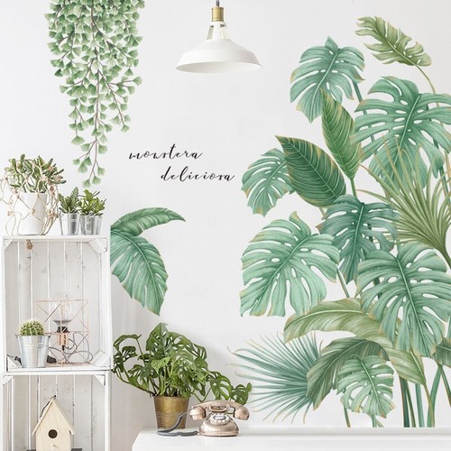 Tropical leaves wall - leaves,