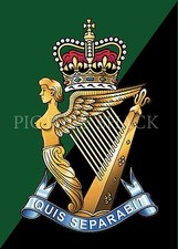 ROYAL ULSTER RIFLES CAP BADGE