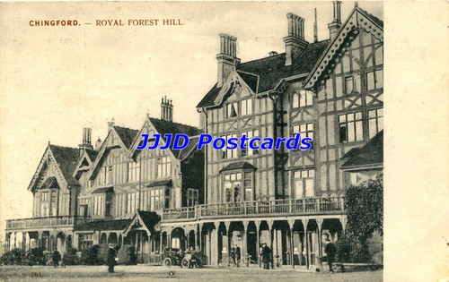Essex chingford royal - essex,