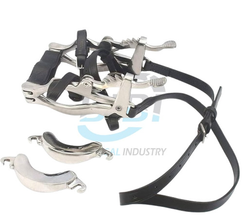 Equine dental millenium - dental,