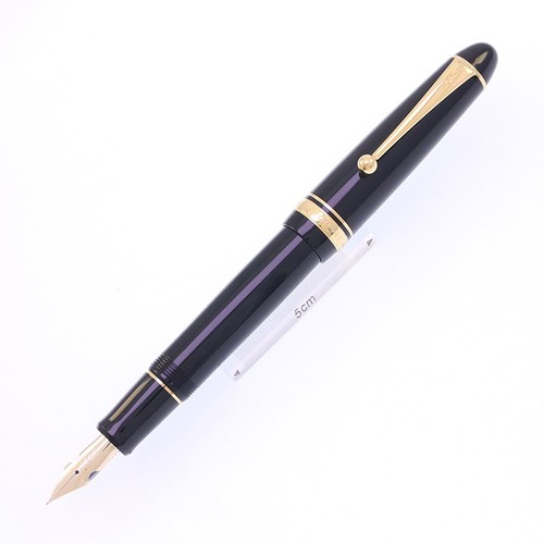 Pilot namiki fountain - fountain, pen