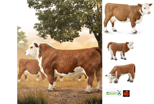 Hereford cattle bull cow - bull,