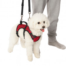 Small Dog Mobility Lift