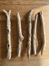 5 CHUNKY DRIFTWOOD BRANCH Sea