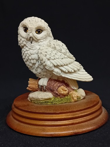 Leonardo nature studies snowy - leonardo,