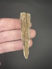 Mammoth bone fragment fossil - fragment,
