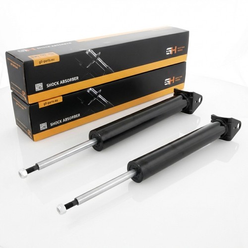 Gas shock absorbers rear - 2x,