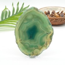 Large Green Agate Slice W/