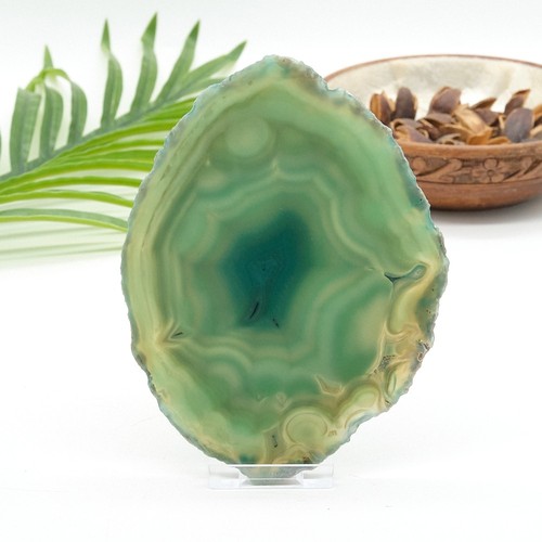 Large green agate slice - agate, w/