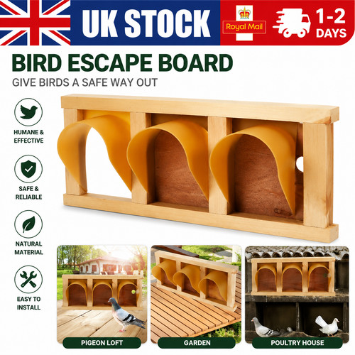 Pigeon cage entrance door - door, bird