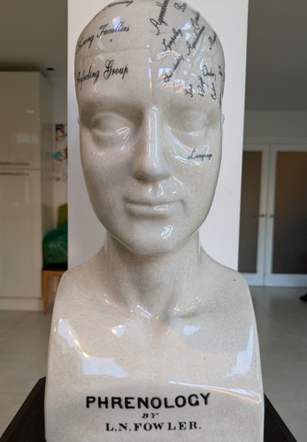 Ceramic phrenology head - ceramic,