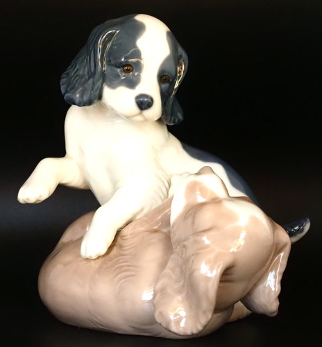 Nao series playing spaniel - series,