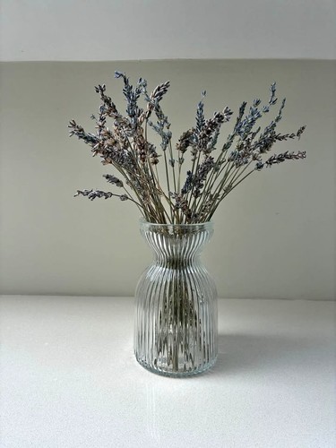 Small glass vase - with, dried
