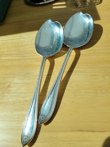 Vintage silver plated - silver, salad