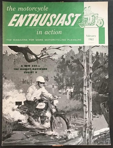 Harley davidson enthusiast - harley,