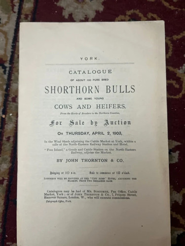 York catalogue shorthorn - of,