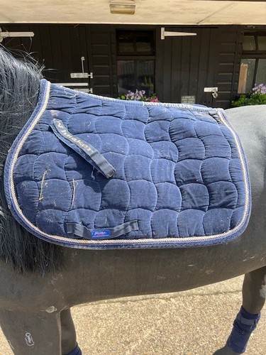 John whitaker saddle pad - john,