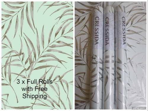 Full rolls fern - 3,