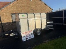 Ifor Williams  P8G Livestock