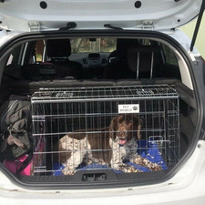 Sloped Car Dog Crate – Fits