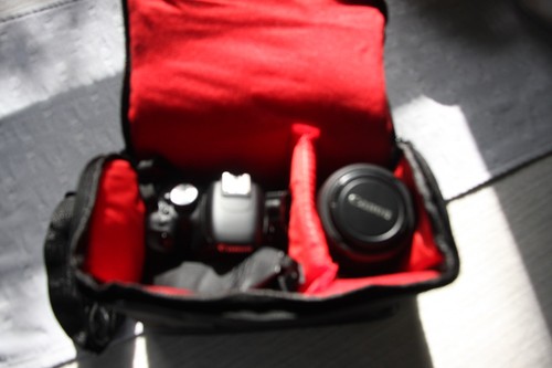 Padded camera bag - padded,
