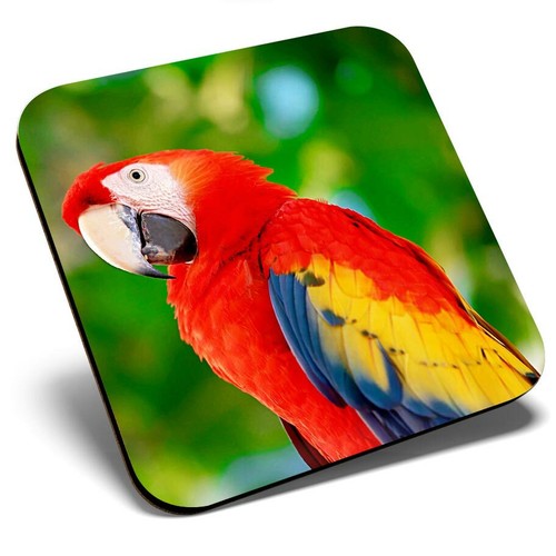 Square single coaster - coaster,