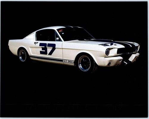 1965 shelby 350 - gt,