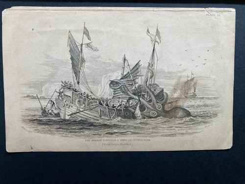 Original 1839 the kraken - 1839,