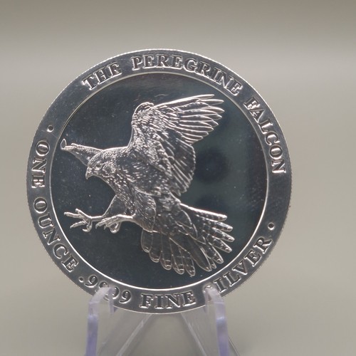 Baird the peregrine - baird,