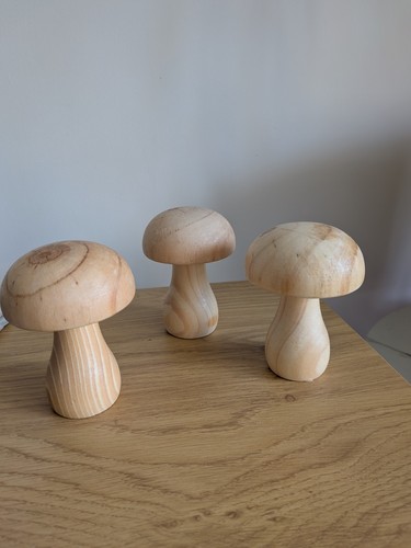 Pcs wooden mushrooms - wooden,