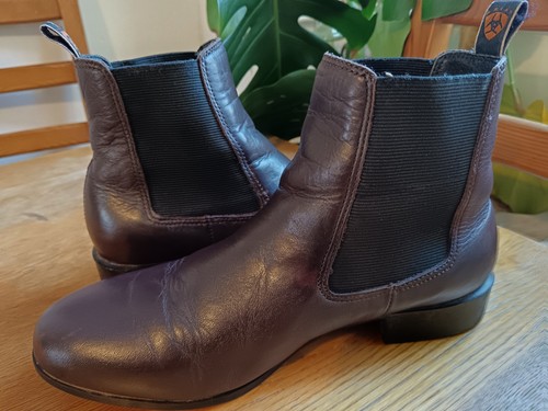 Ariat chelsea mid paddock - ariat,