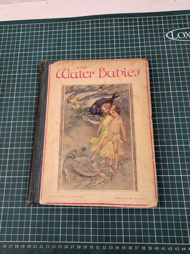 Book the water babies - the,