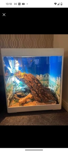 Vivarium used - vivarium,