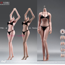 1/12 Flexible Seamless Female