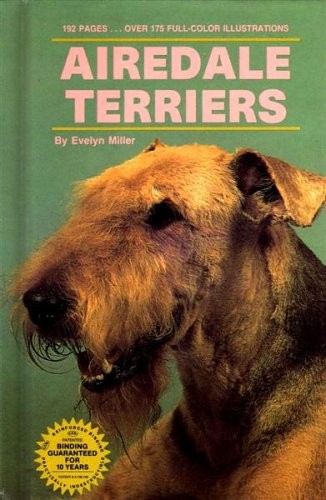Airedale terriers evelyn - airedale, terriers-evelyn