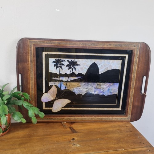 Vintage butterfly wing - butterfly,