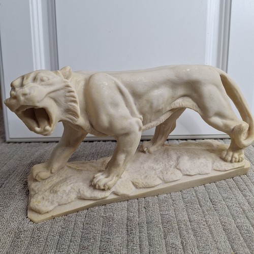 Roaring puma mountain lion - roaring,