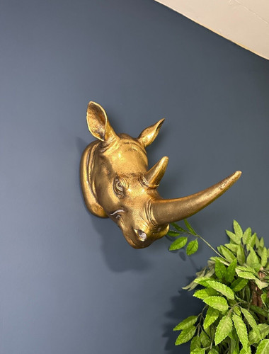 Gold rhino head - head, wall