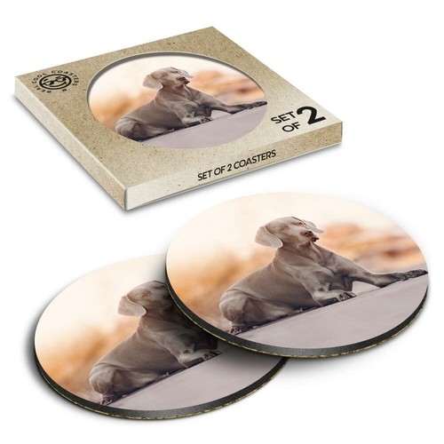 Boxed round coasters - coasters,