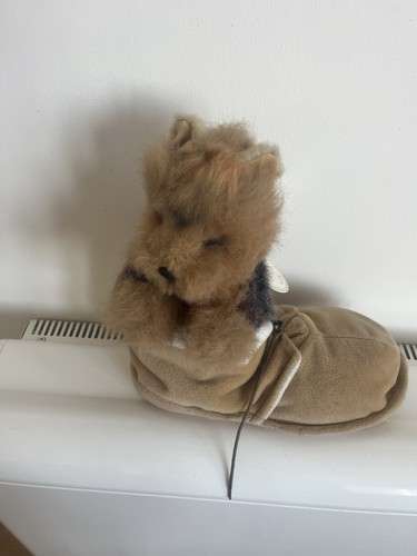 Vintage yorkshire terrier - in, a